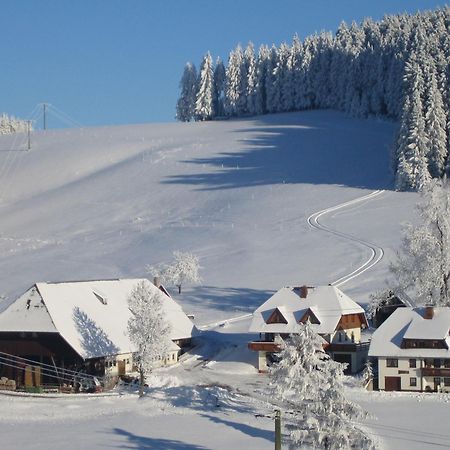 Oberengenbachhof Daire Eisenbach  Dış mekan fotoğraf