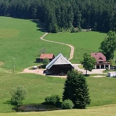 Oberengenbachhof Daire Eisenbach  Dış mekan fotoğraf