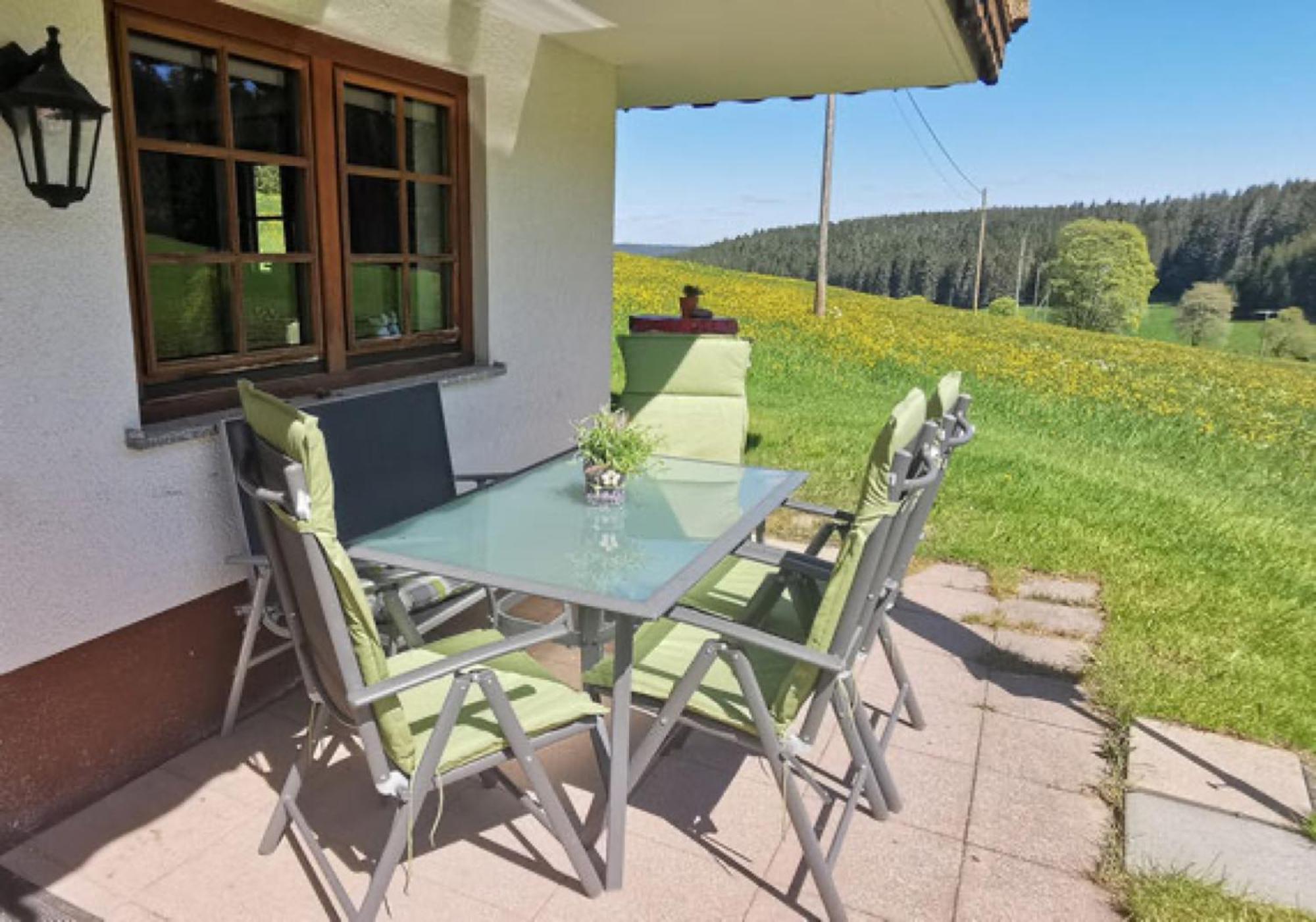 Oberengenbachhof Daire Eisenbach  Dış mekan fotoğraf