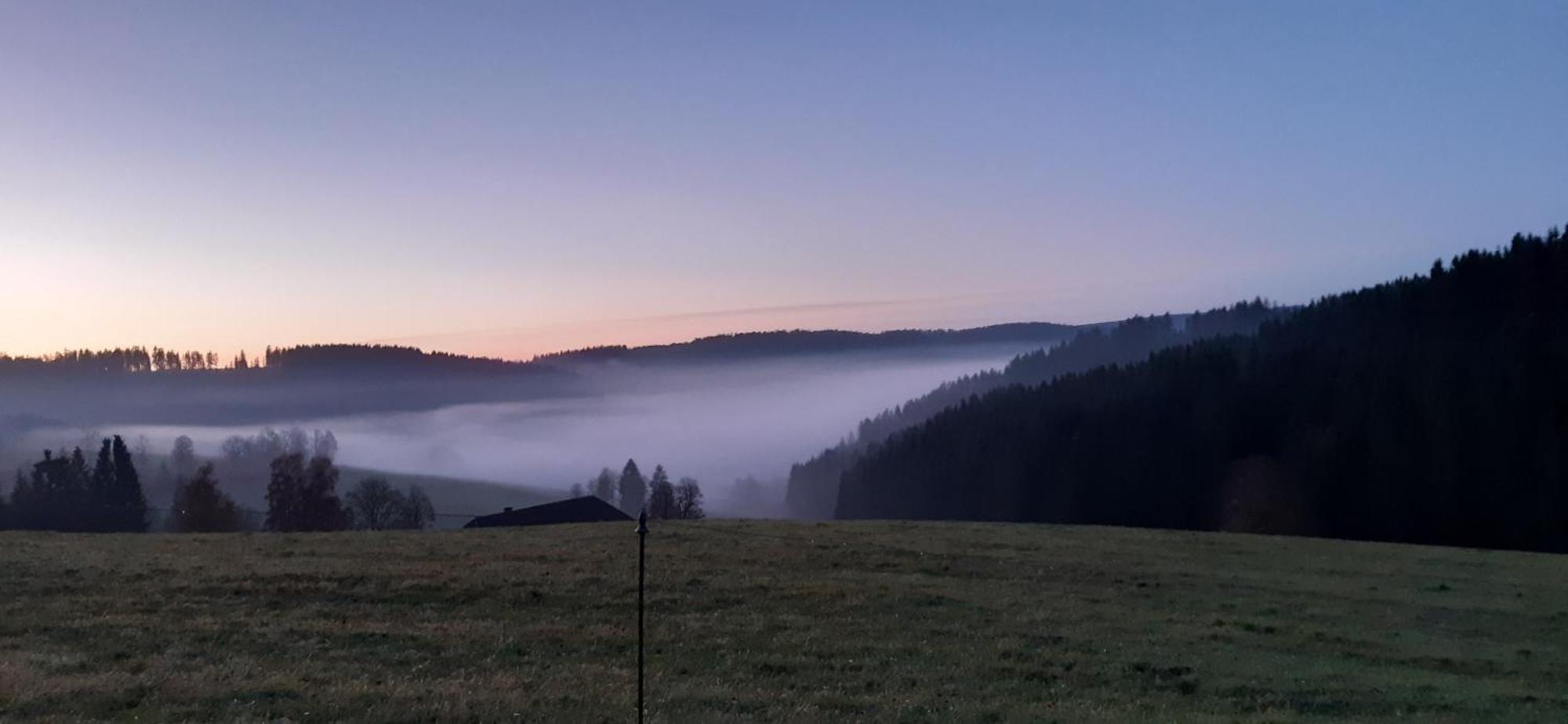 Oberengenbachhof Daire Eisenbach  Dış mekan fotoğraf