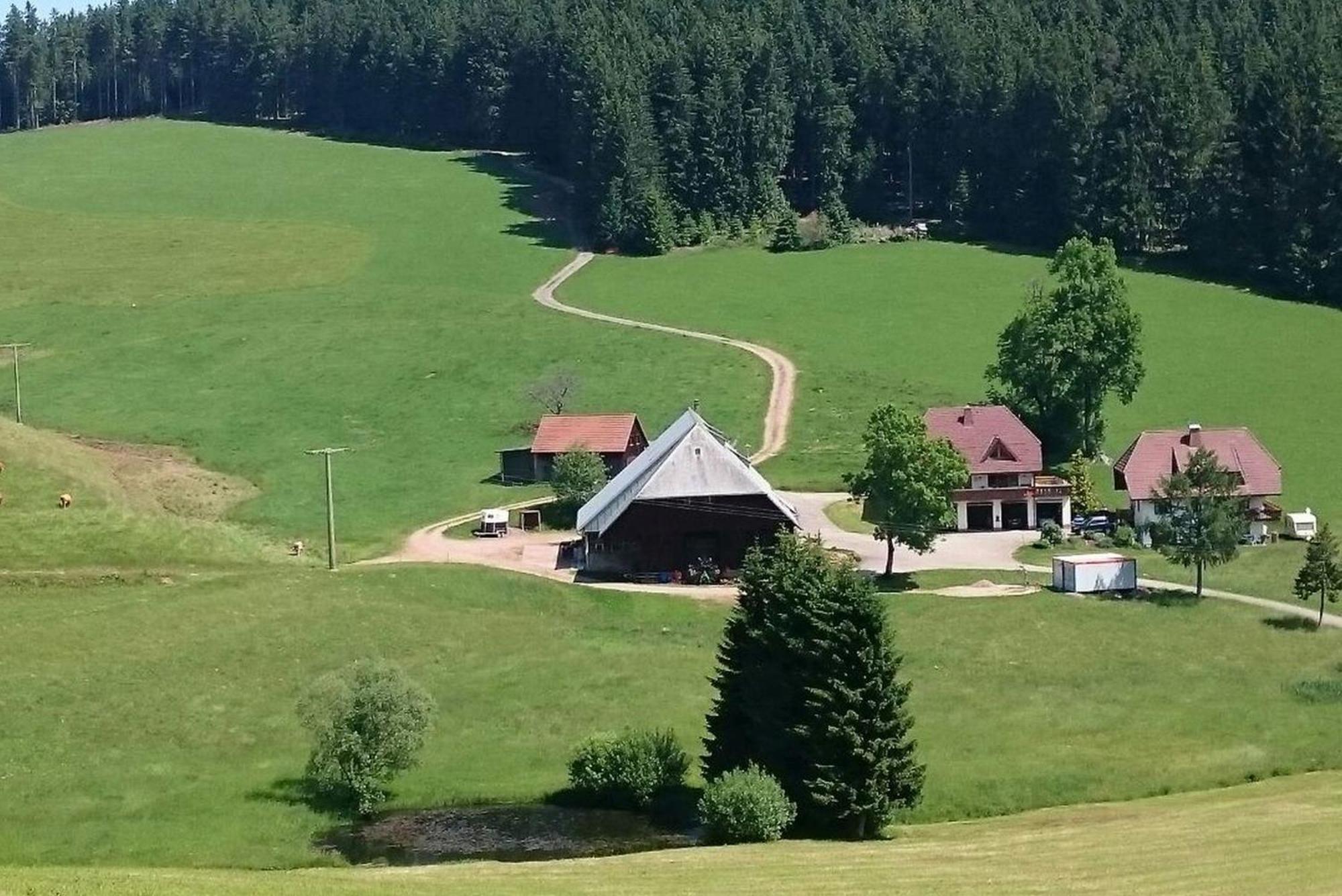 Oberengenbachhof Daire Eisenbach  Dış mekan fotoğraf